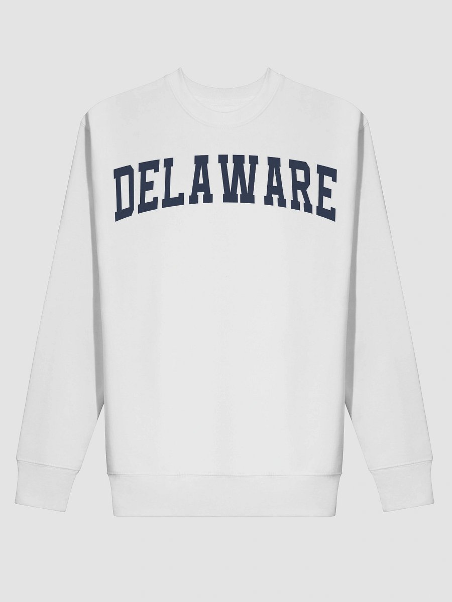 Delaware Vintage Varsity Premium Sweatshirt product image (15)