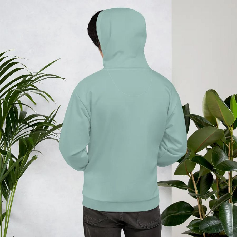 Plain Light Teal Green Soft Summer Unisex Recycled Polyester Heavyweight Premium Hoodie by Treasure Pie product image (11)