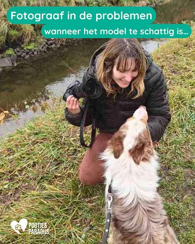 Kijk, zelfs onze huisfotografe wordt soms geclaimd door een enthousiaste snuiter 📸💛

Terwijl iedereen naar die schattige woef...