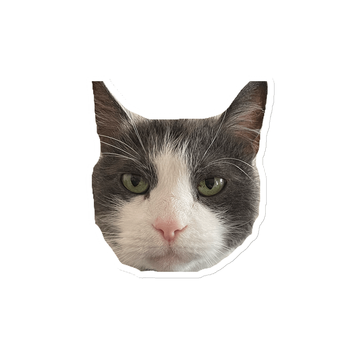 Lou Grumpy Face Magnet product image (2)