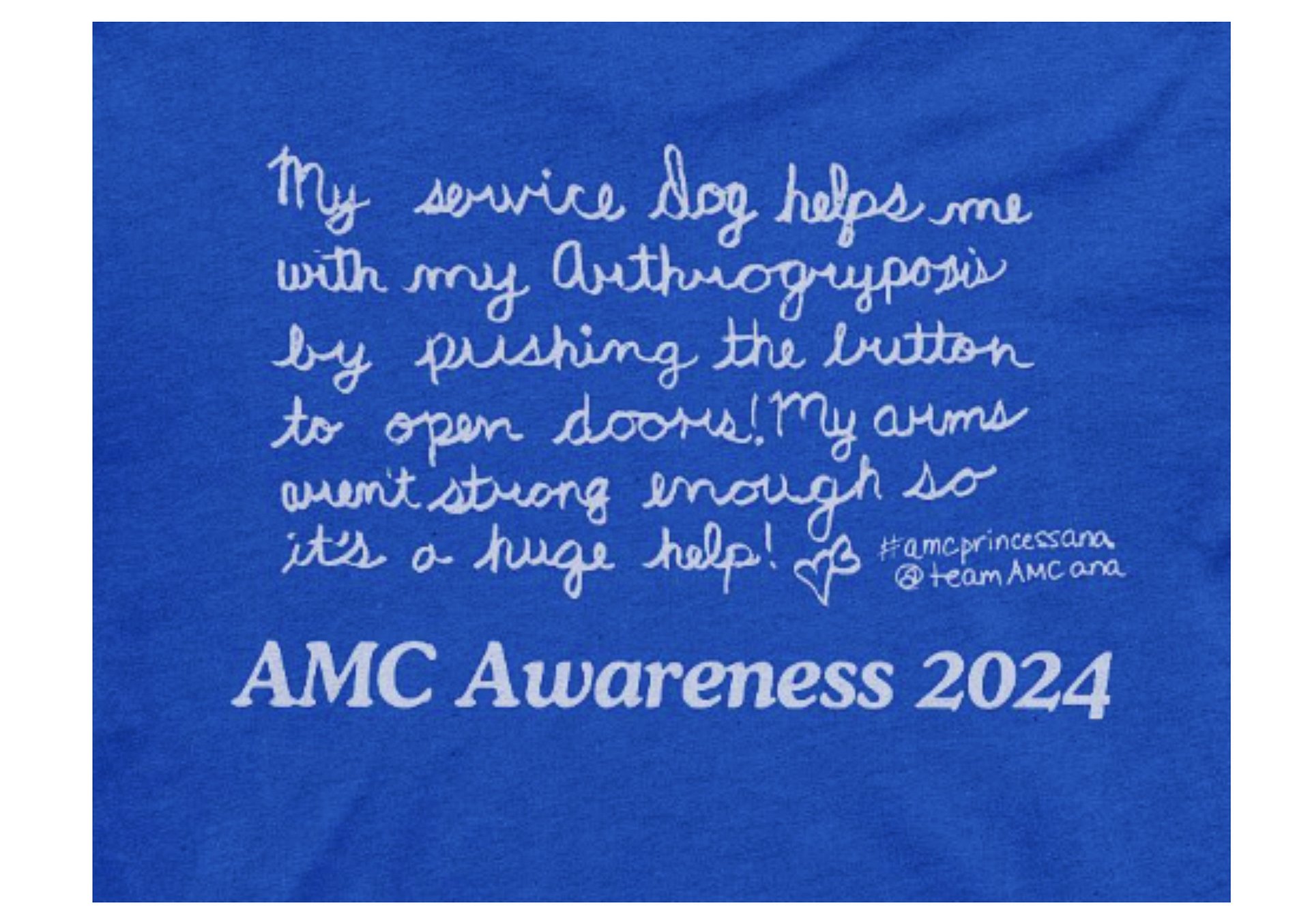 FLASH SALE! 2024 AMC Awareness product image (10)
