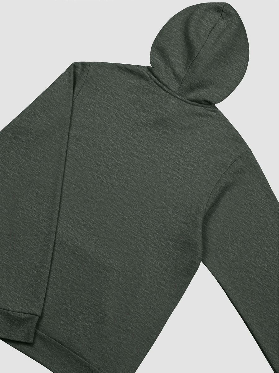 Duanesburg, NY Hoodie product image (7)
