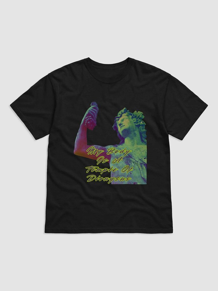 Temple of Dionysus T-Shirt product image (1)
