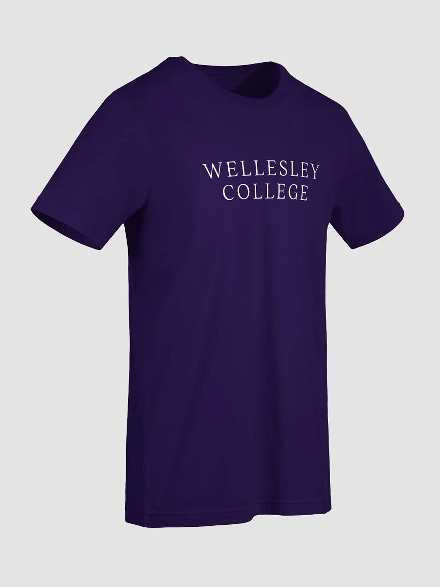 Minimalist Serif Reunion Tee product image (94)