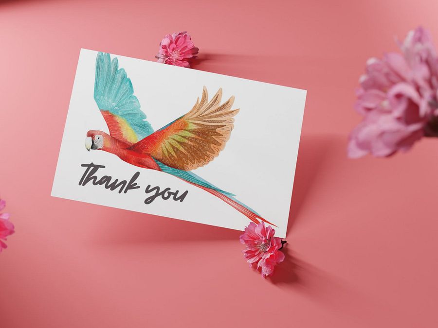 thank you cards bird 3 different birds product image (4)