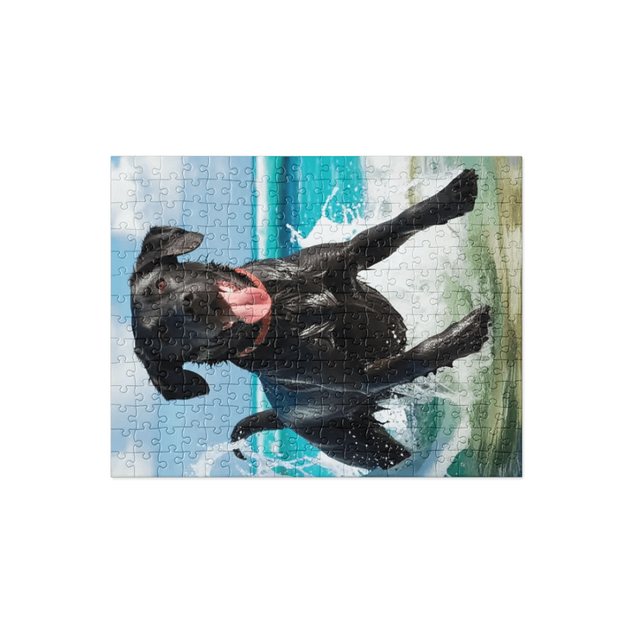 Jetty’s Adventures product image (1)