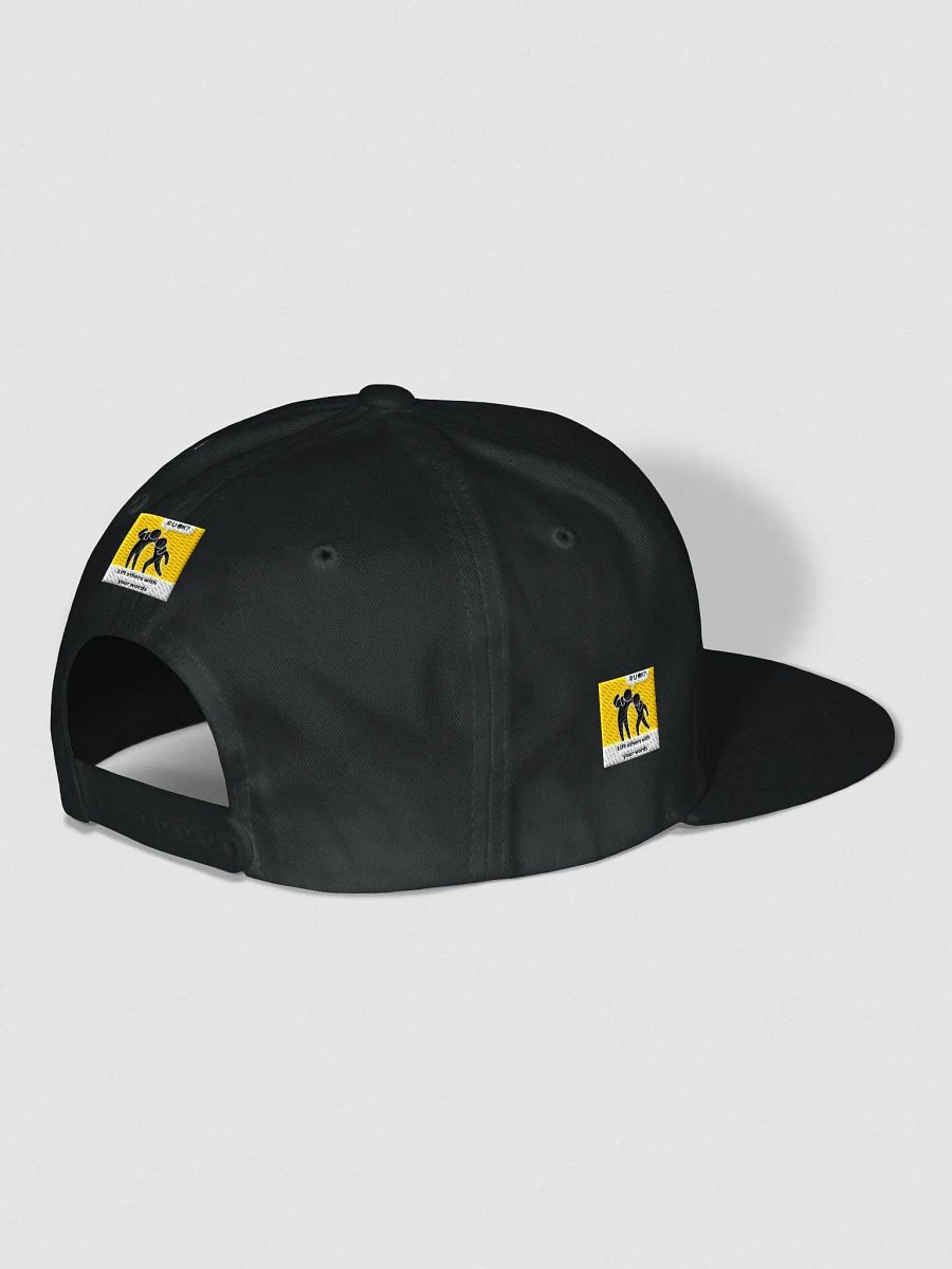 The OK Show Snapback product image (14)