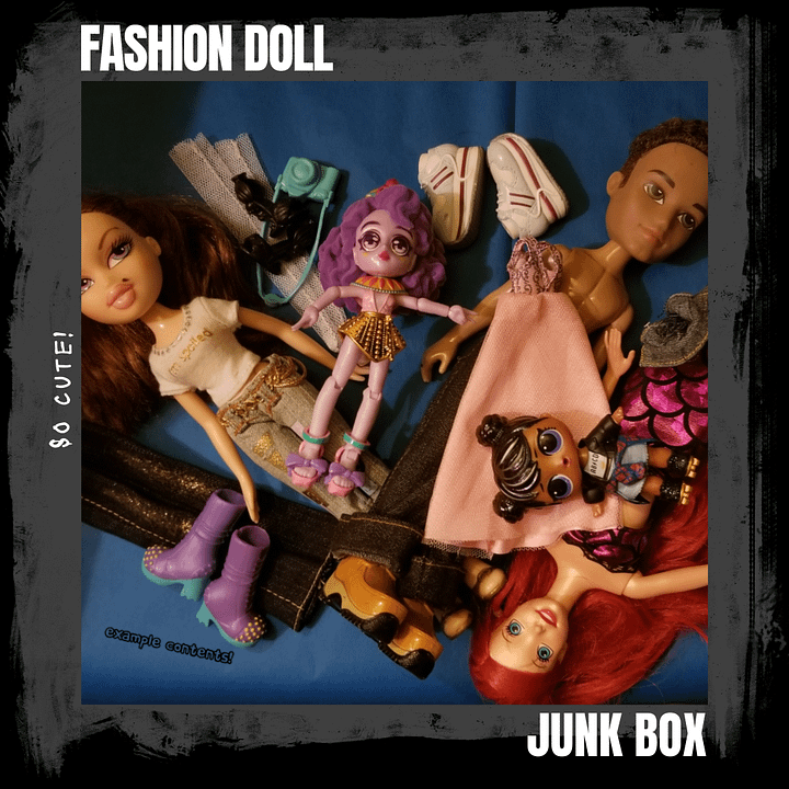 Fashion Doll Junk Box product image (1)