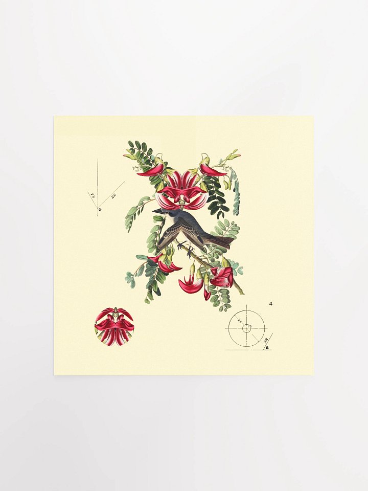 Bird Botanical Dadaism Poster product image (2)