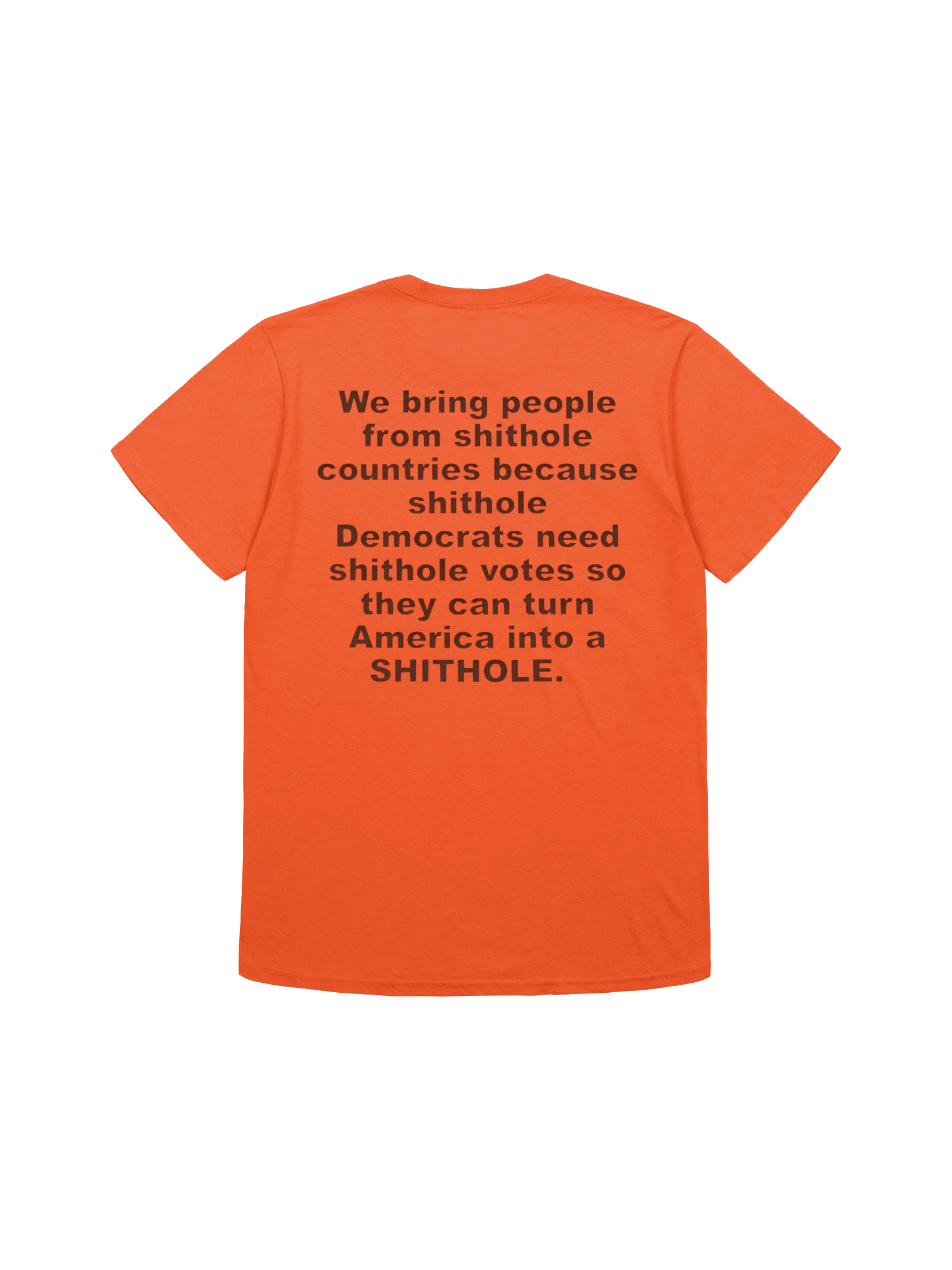 We Bring People From Shithole Countries Anti-Democrat Graphic Shirt product image (1)