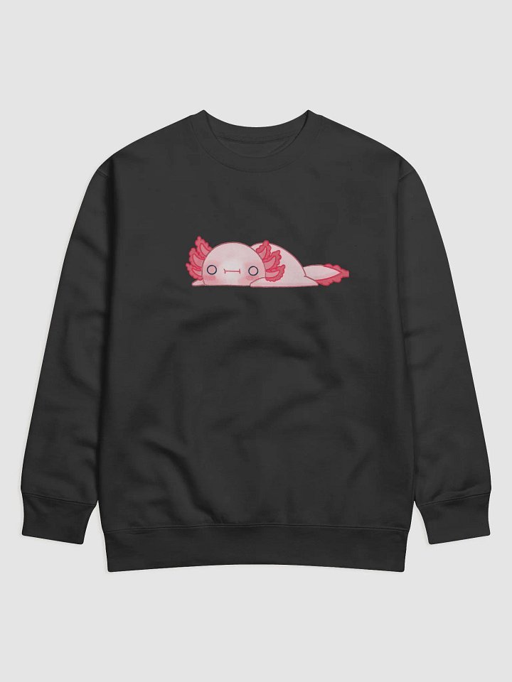 sploot sweatshirt product image (1)