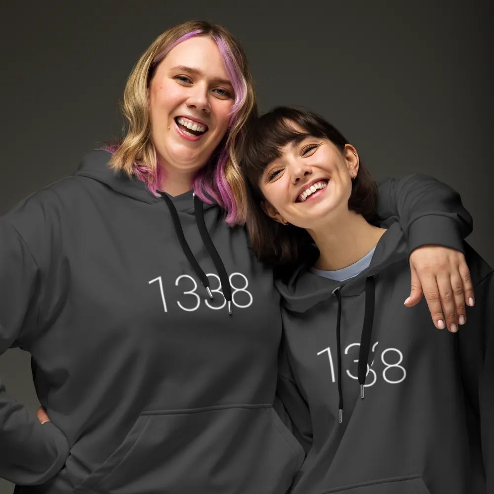 1338, beyond leet hoodie (darker grayscale mode) product image (9)