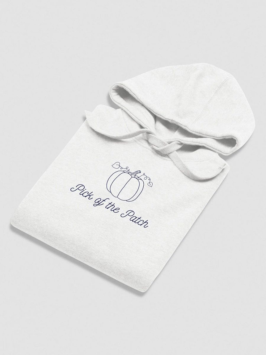 Pumpkin Patch Dreams Embroidery Hoodie product image (4)