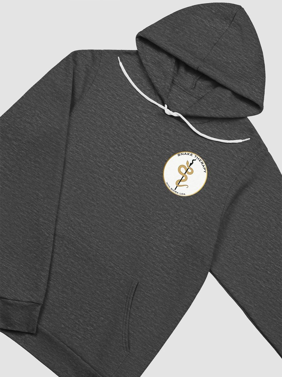 STSL Hoodie product image (7)
