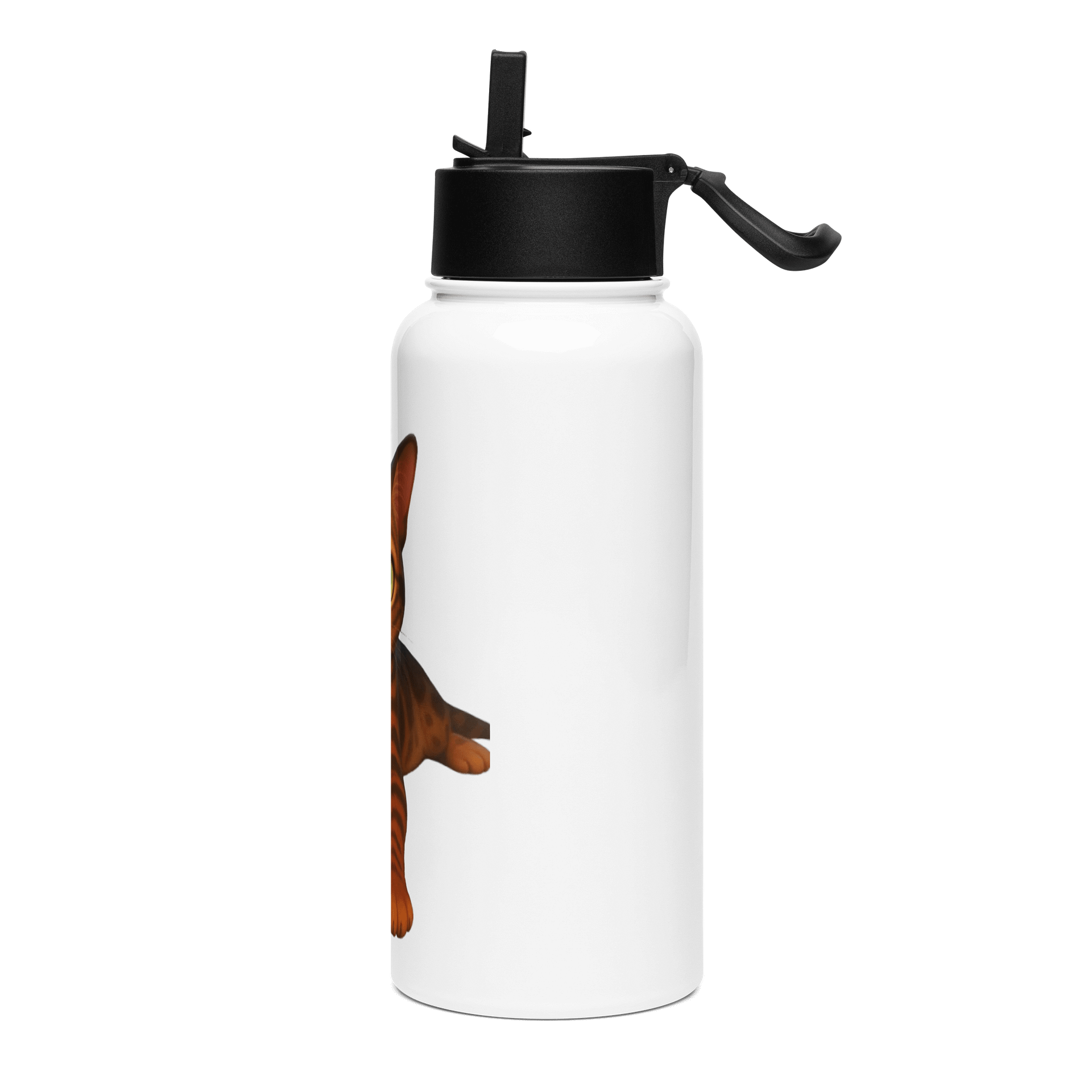 Dior'sCat - Stainless Steel Water Bottle with a Straw Lid product image (3)