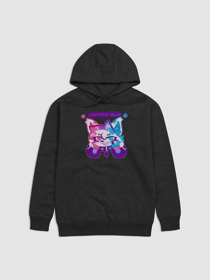 is that a factual statement? hoodie product image (8)