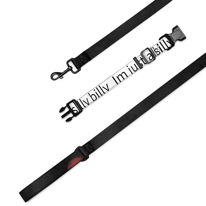 Im just a silly billy collor and space leash product image (1)