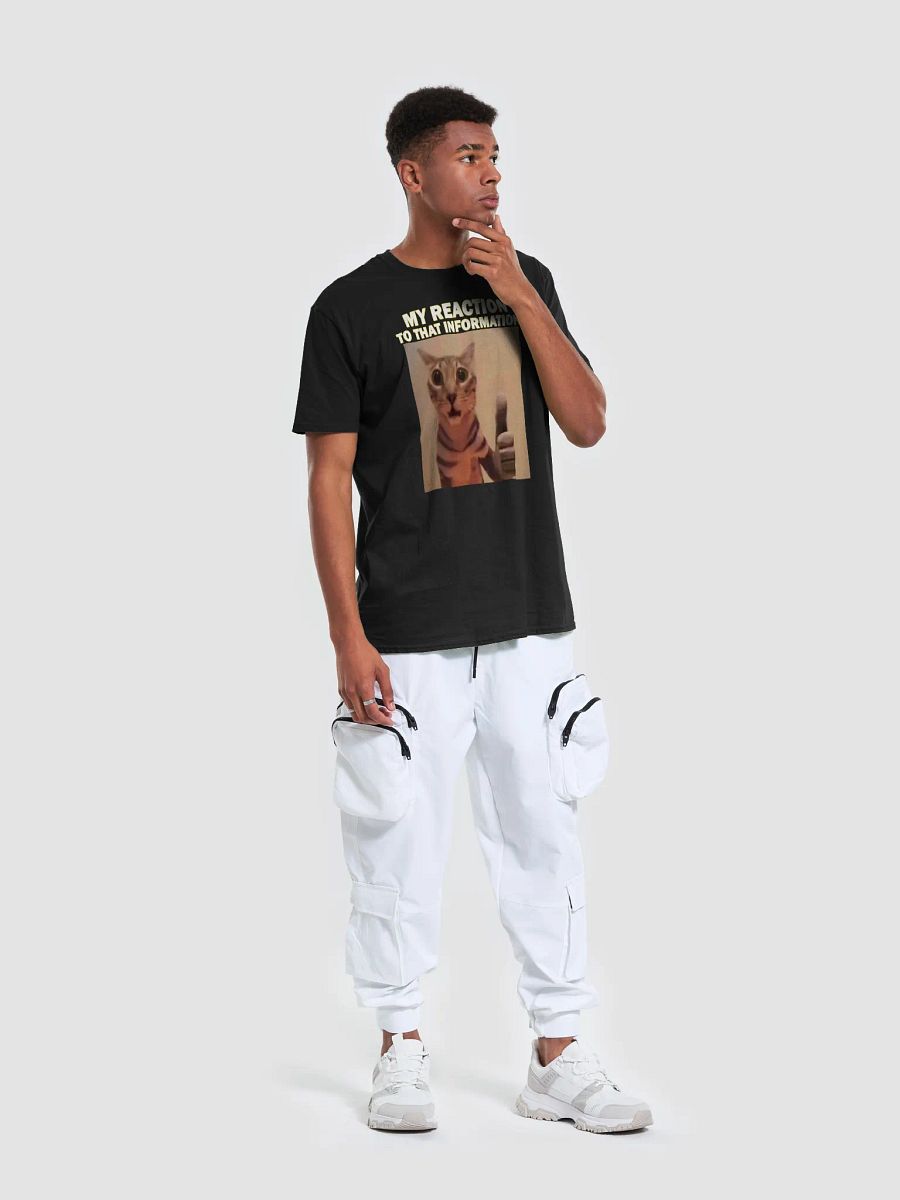 MY HONEST REACTION TO THAT INFO T-SHIRT product image (19)