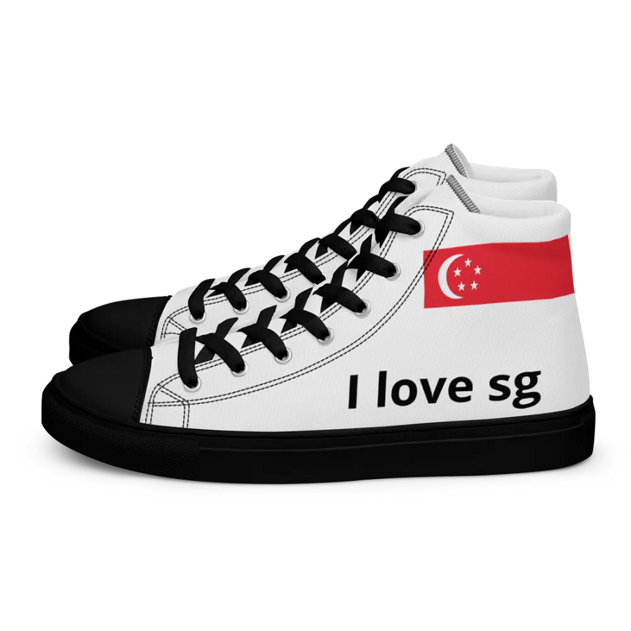 Singapore product image (1)