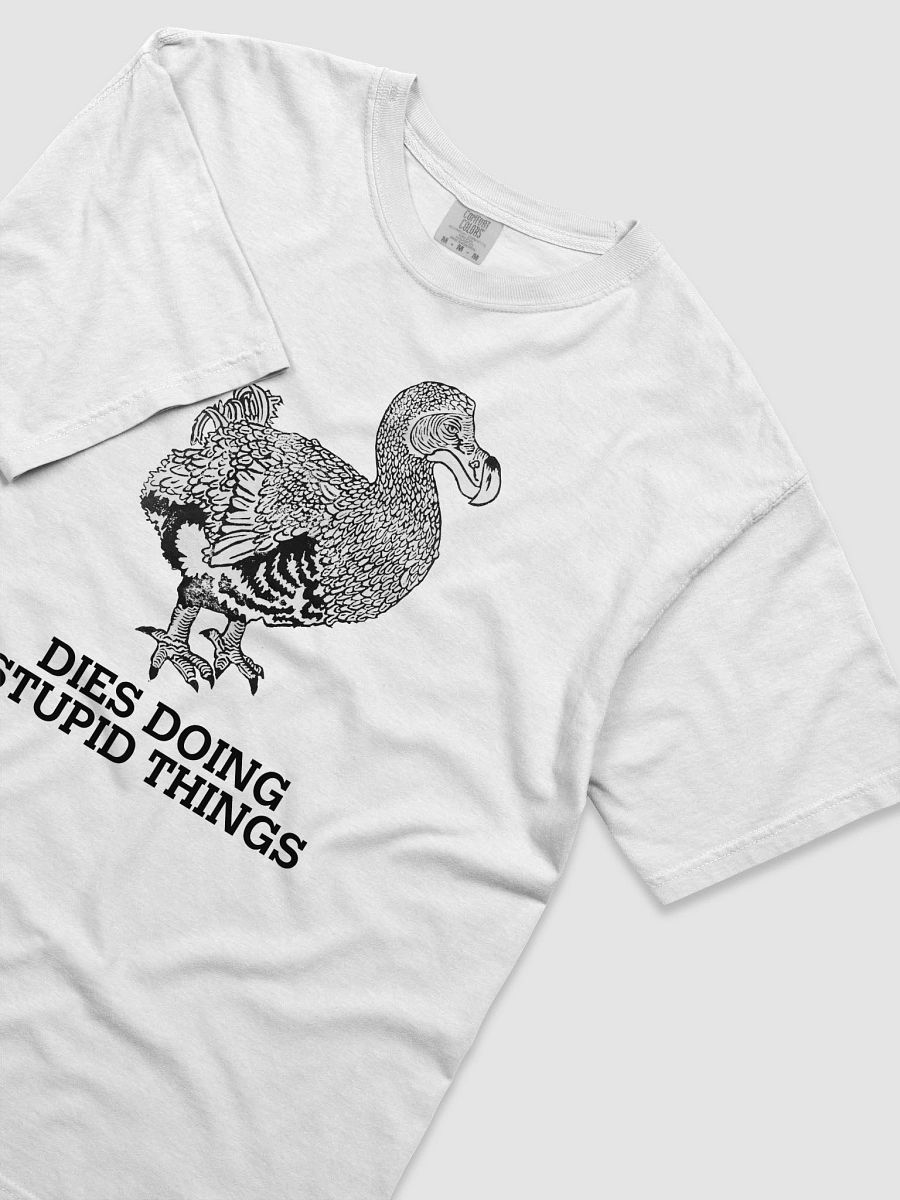 CHILL DODO HEAVYWEIGHT TEE product image (3)