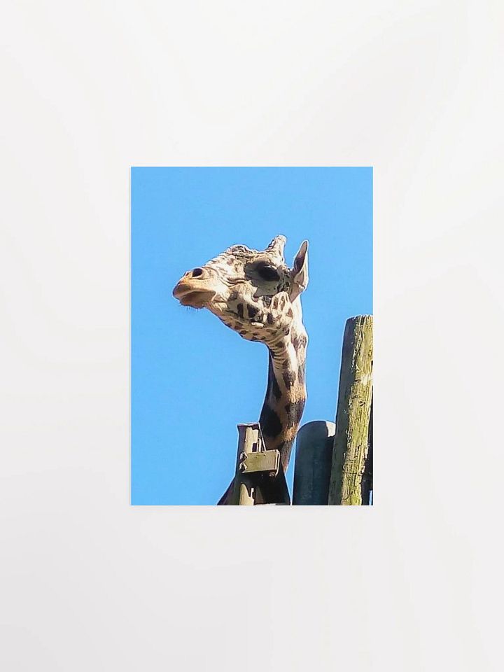 Giraffe Close Up product image (1)