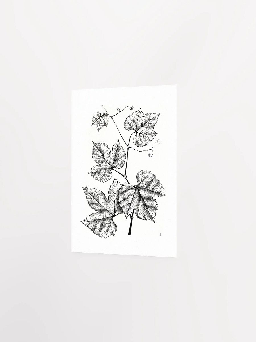 Enchanted Vine: Premium Matte Poster - Grape Leaves product image (2)
