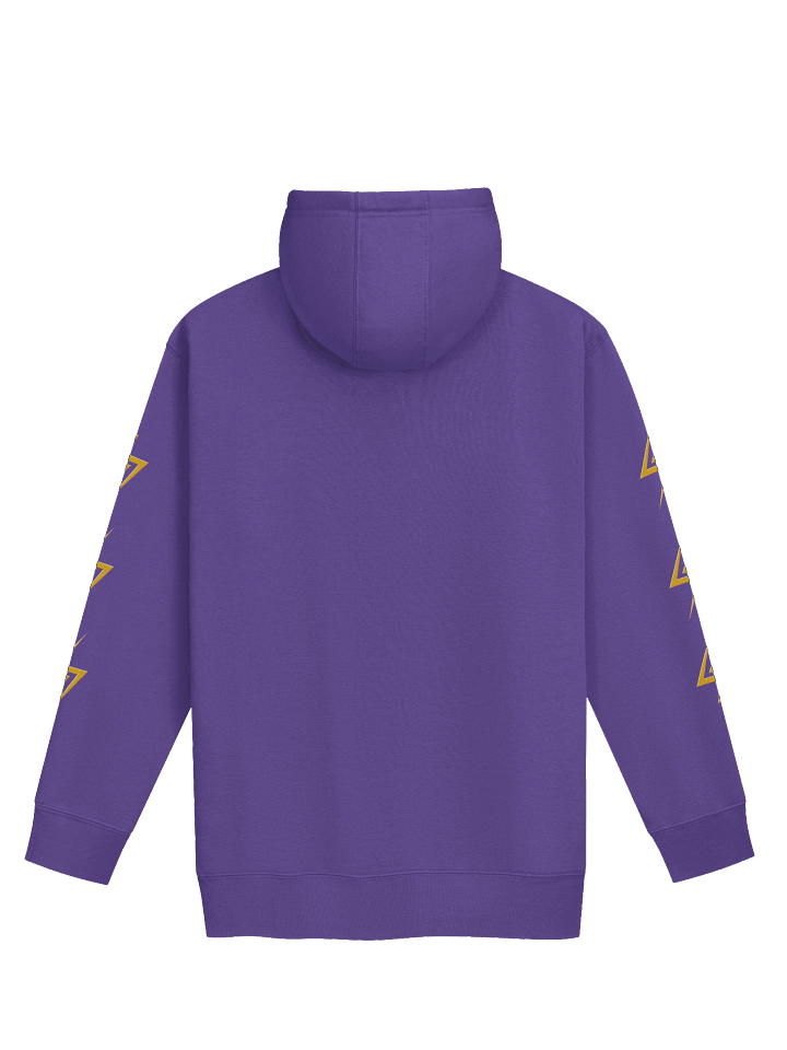 Winguardians Team Hoodie product image (6)