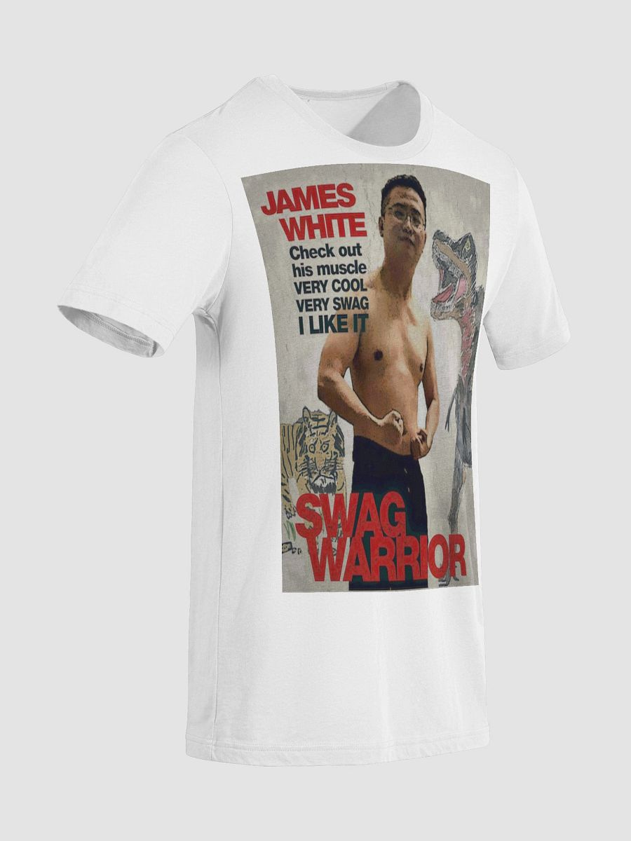 Bella+Canvas Triblend Short Sleeve T-Shirt product image (66)
