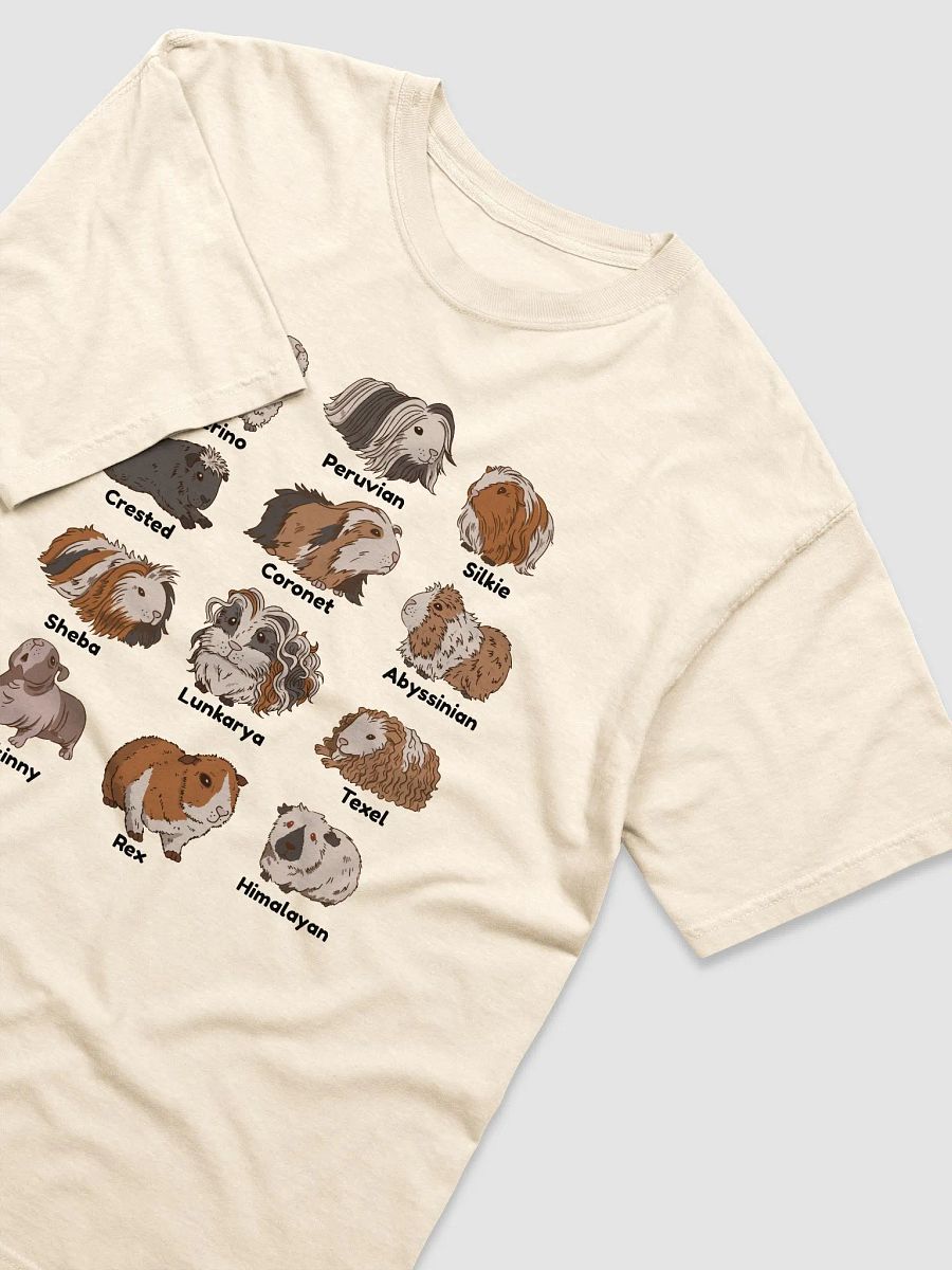 Types of Guinea Pigs T-Shirt | Cottagecore, Goblincore, and Dark Academia Shirt of Guinea Pigs product image (20)