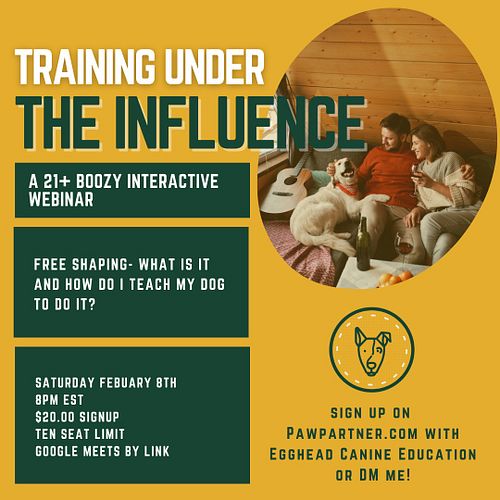 Free shaping- What is it and how do I teach my dog to do it?

Join me for a digital evening of fun, casual, and boozy trainin...