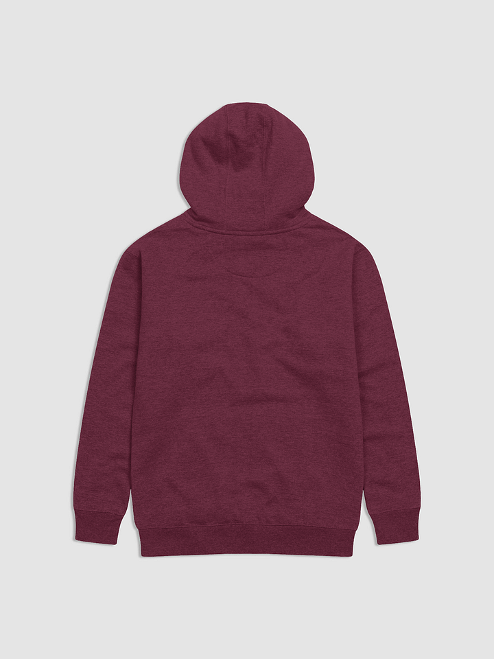 EXTRAORDINAIRE IMMIGRANT HOODIE PURPLE product image (2)