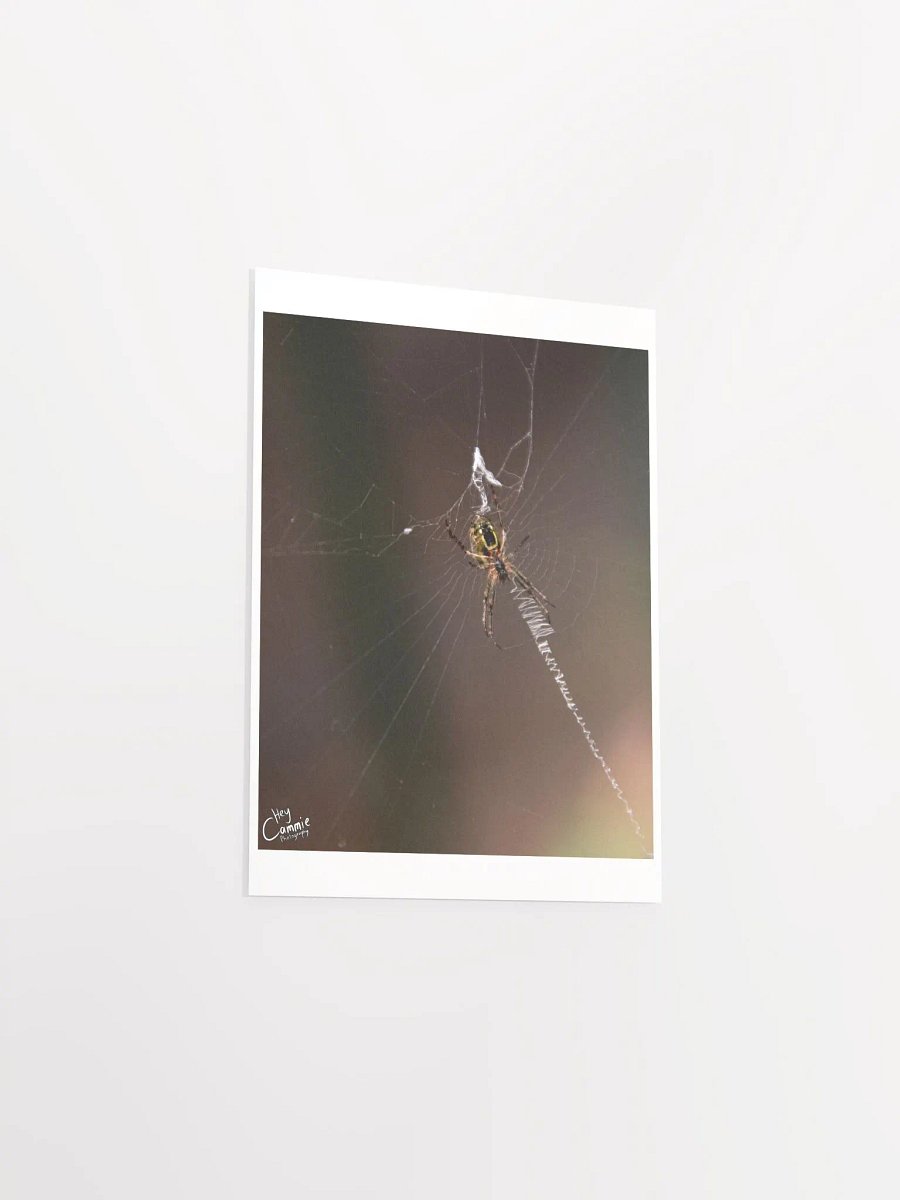Webs - Print product image (3)