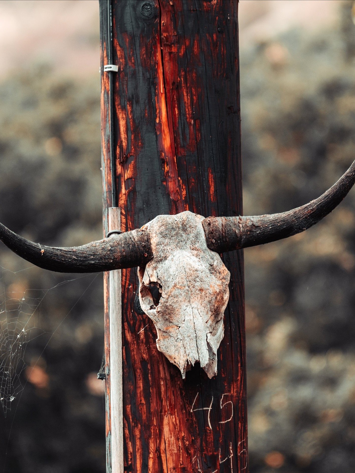 Chasing Adventure Pack - 15 Presets product image (8)