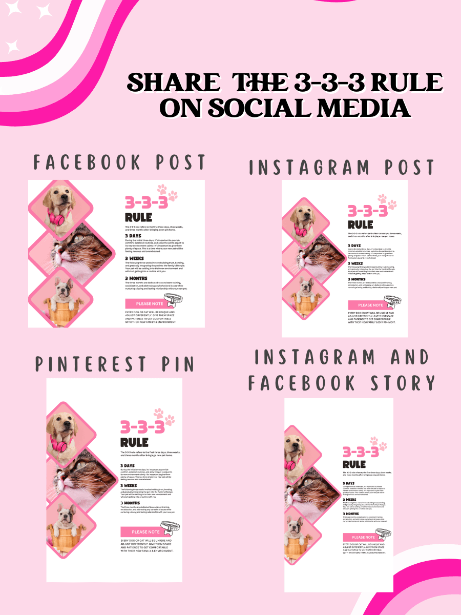 3-3-3 Rule Flyer & Posts product image (4)