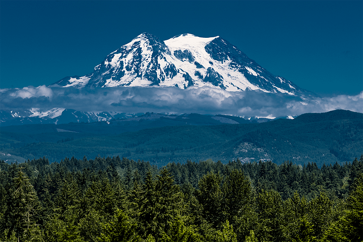 Print - Mount Rainier, Washington product image (13)