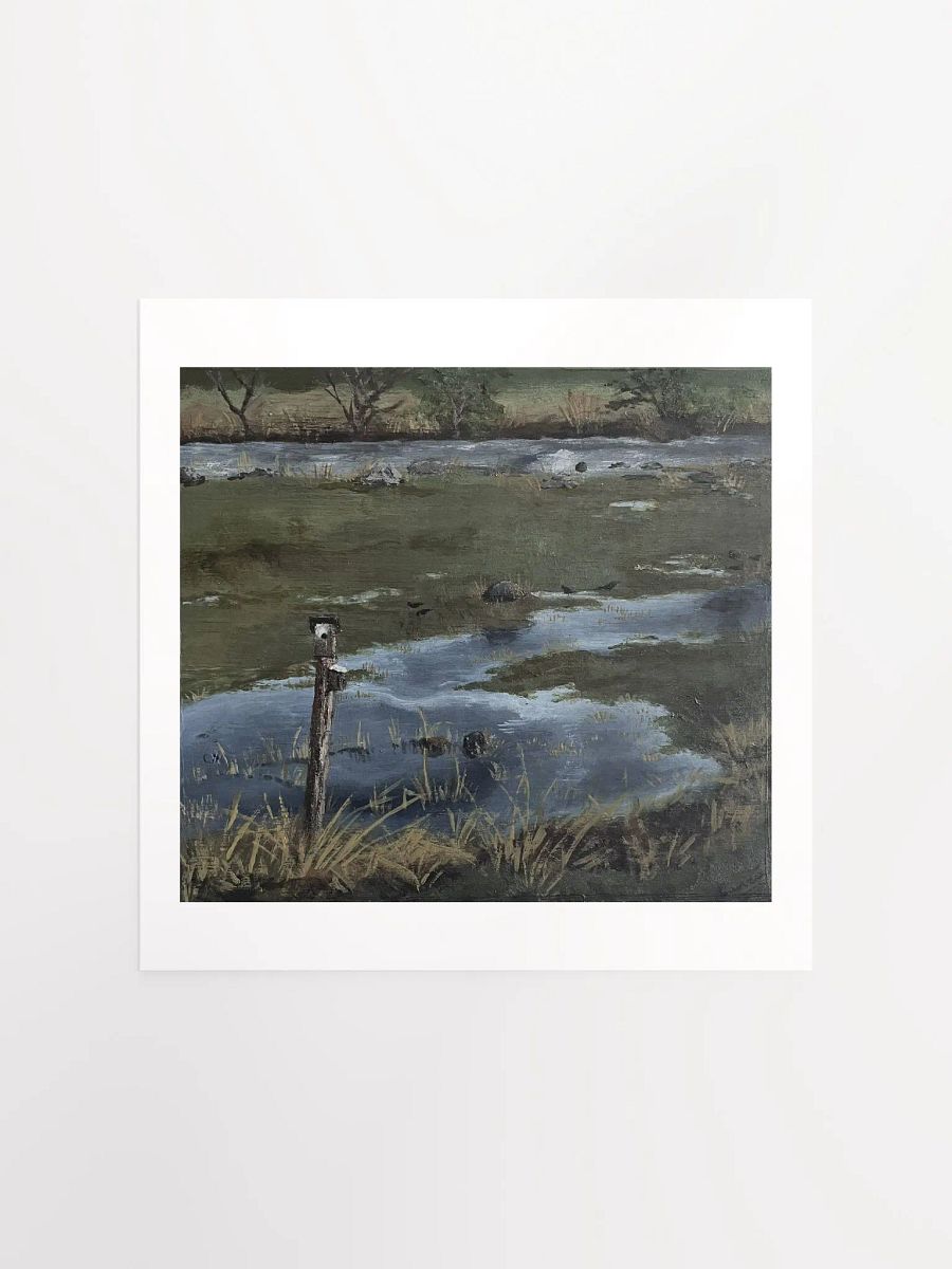 CS007 product image (1)