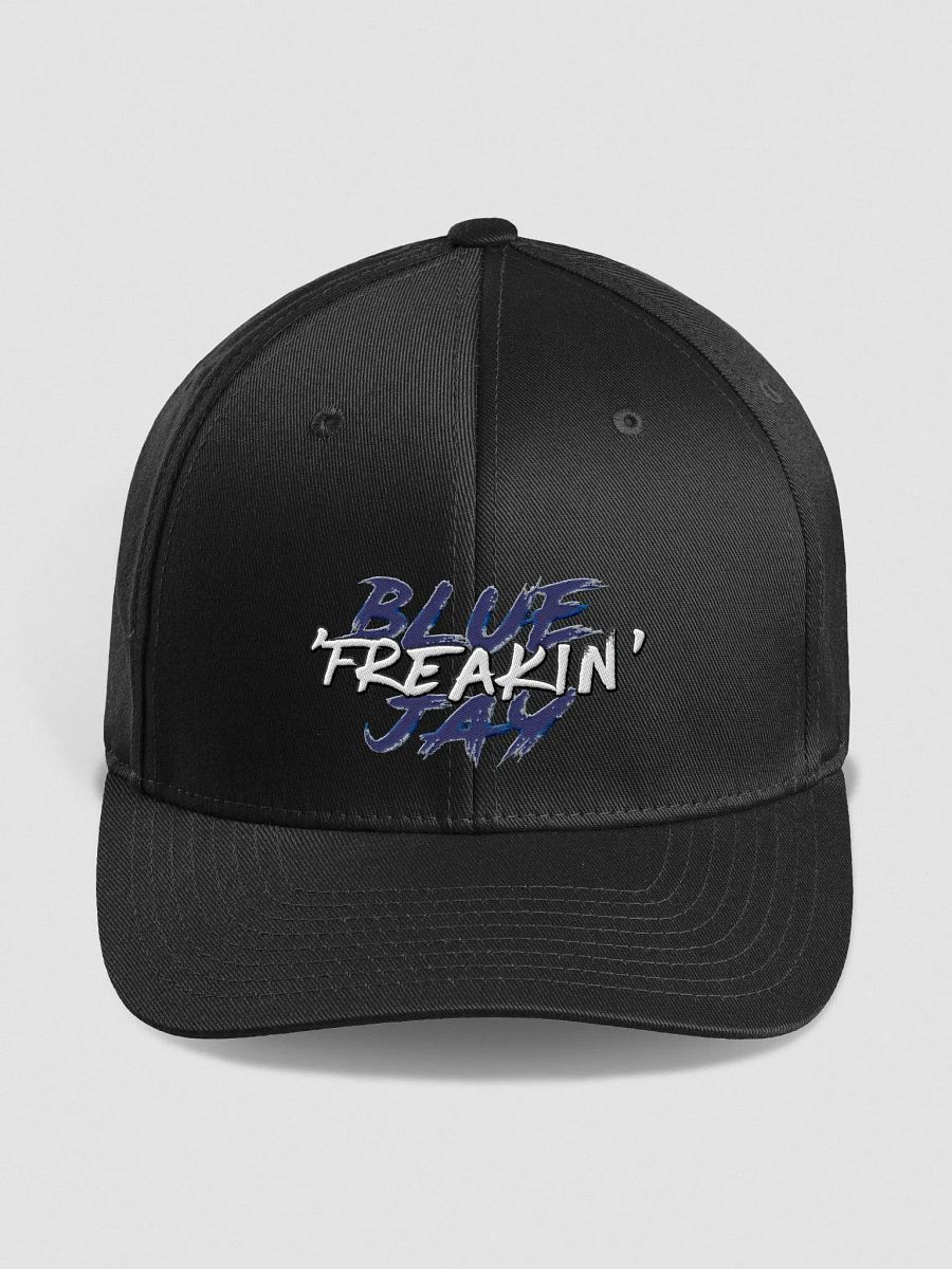 BTW Blue Freakin Jay fitted snap back product image (2)