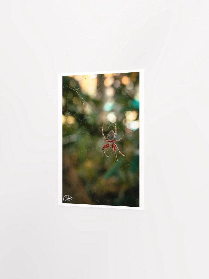 The Spiders Web - Print product image (2)