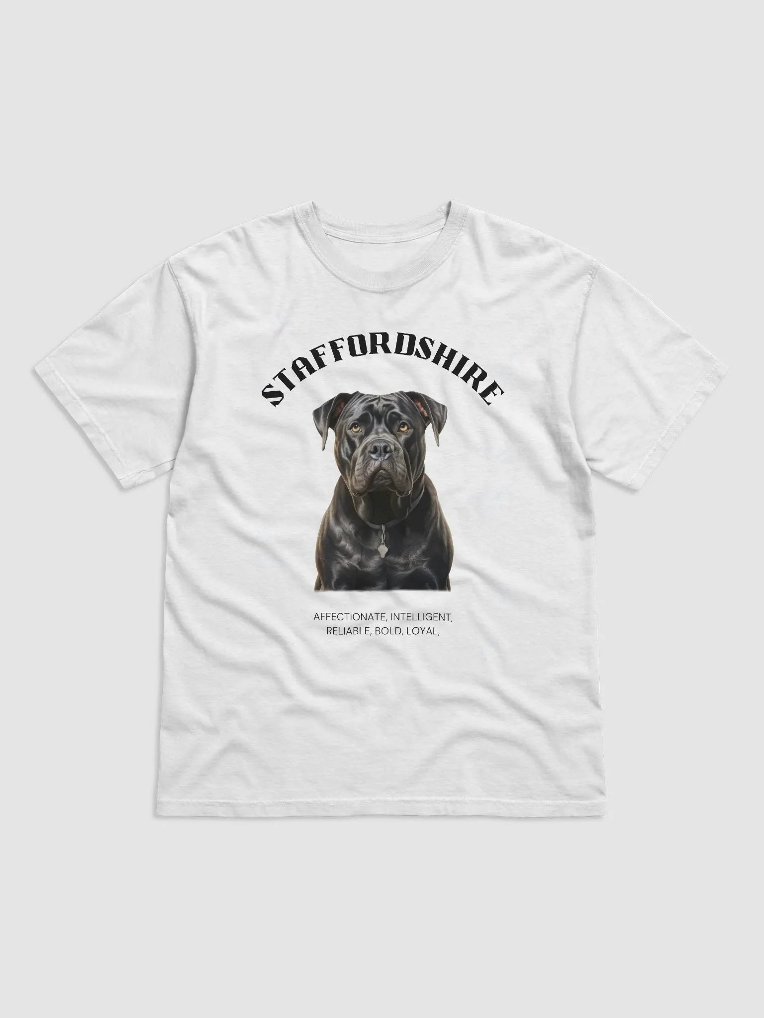 Staffordshire White Relaxed Fit T-shirt product image (2)