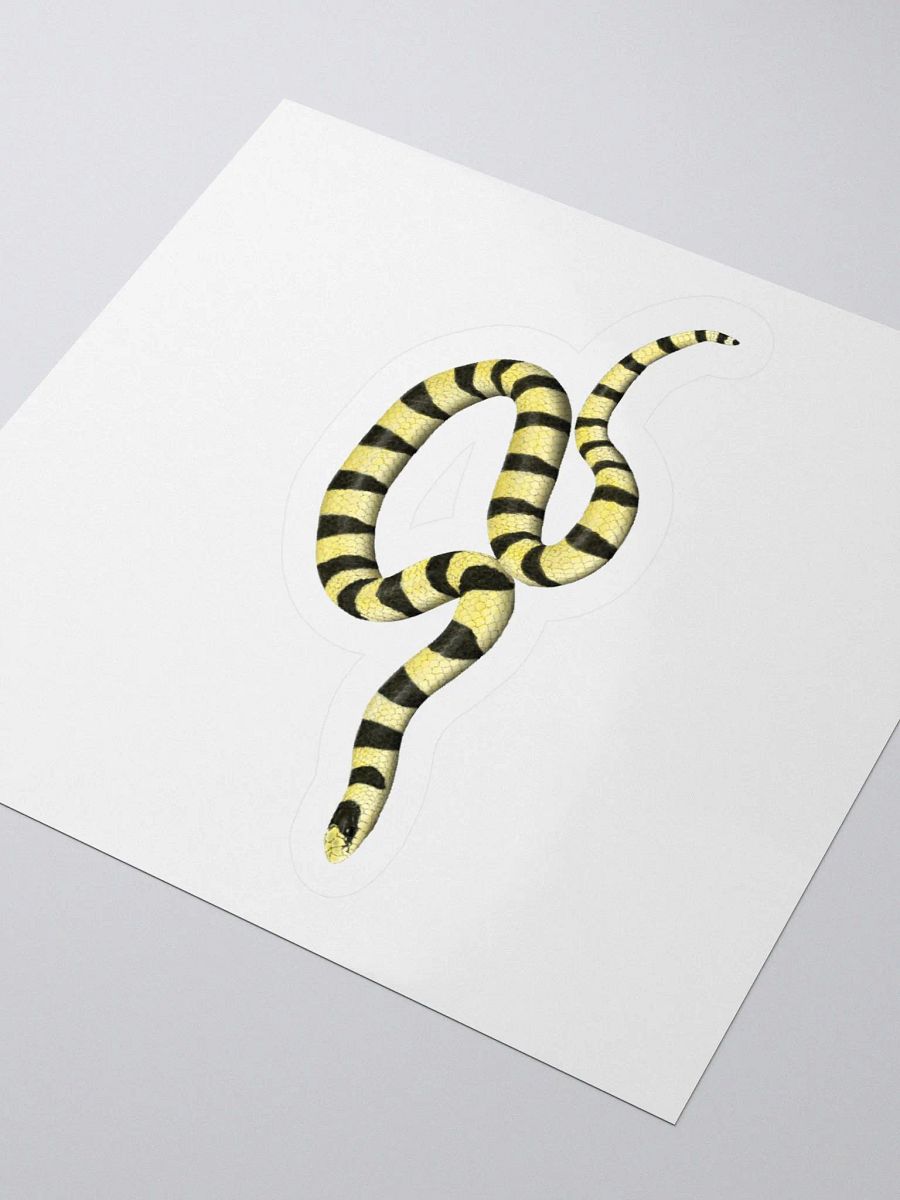 Die-Cut Sticker – Resplendent Shovelnosed Snake (Mohave Phase) product image (3)