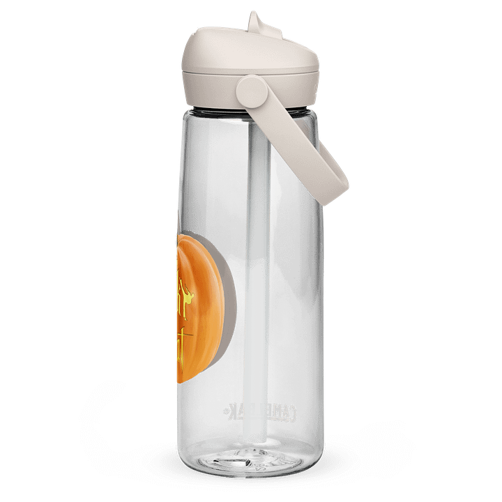 🎃🥤 Kick or Treat! Water Bottle product image (2)