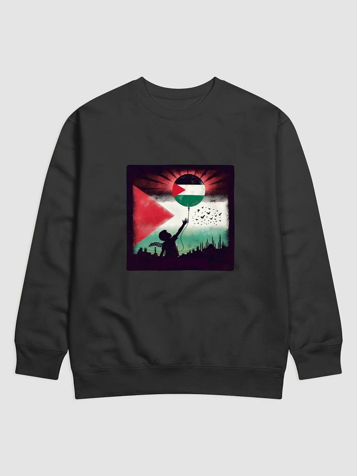 Hopeful Horizon Palestinian Flag Sweatshirt | free palestina product image (7)