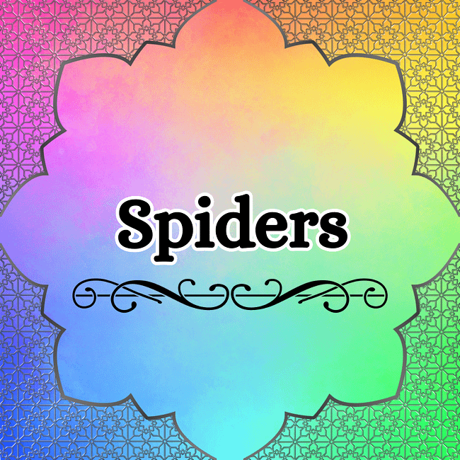 Spiders