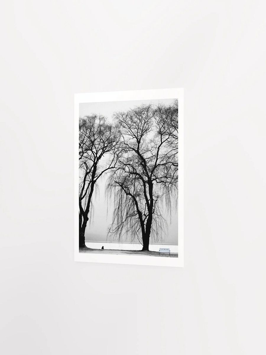 SOLACE IN THE MIST product image (12)