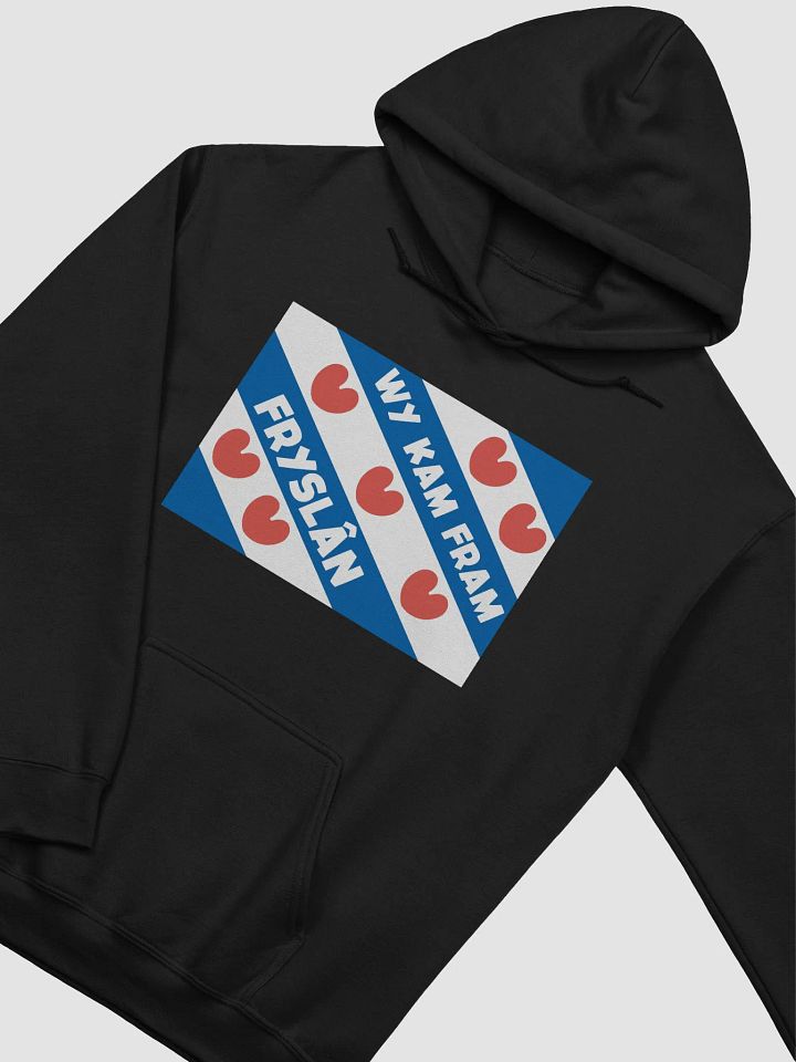 Wy Kam Fram Fryslân Flag - Hoodie (Black/Coloured) product image (38)