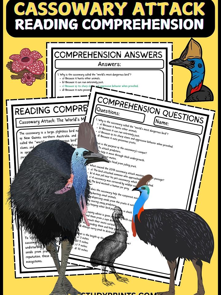 Cassowary Attack Reading Comprehension Passage PDF product image (1)