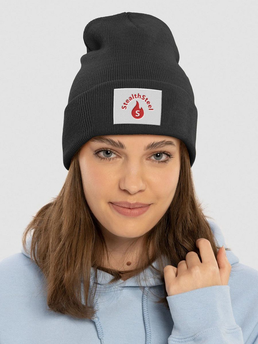 StealthSteel Beanie product image (3)