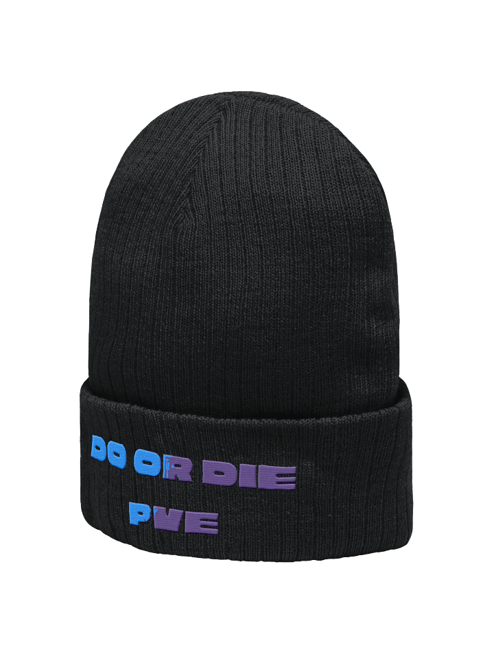 Bold Ribbed Knit Beanie: DO OR DIE Edition product image (2)