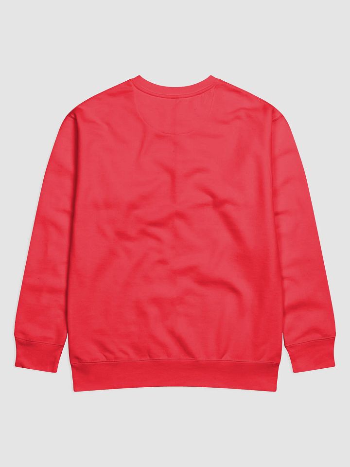 Backed Long Sleeve Crew neck Unisex product image (7)
