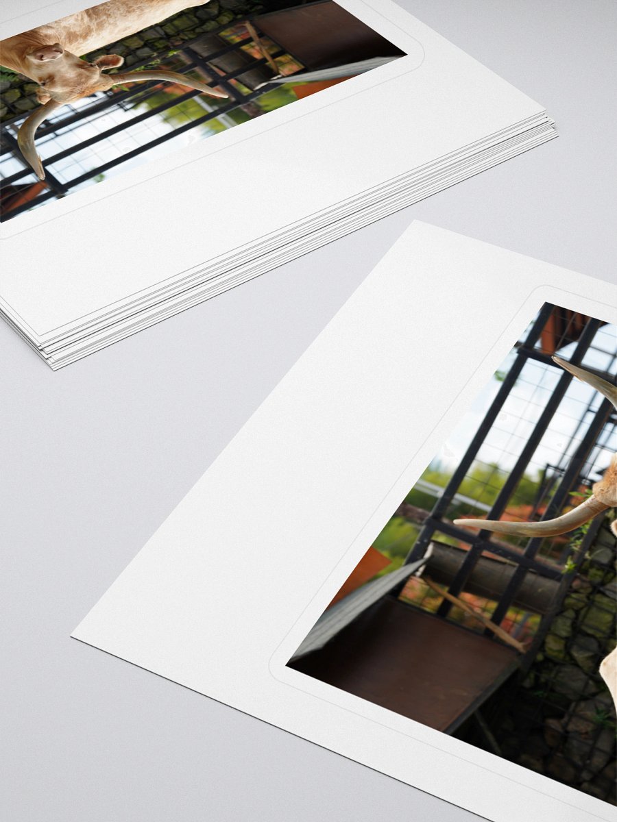 Majestic Longhorn Cow Kiss Cut Stickers product image (4)